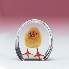 크리스탈포토